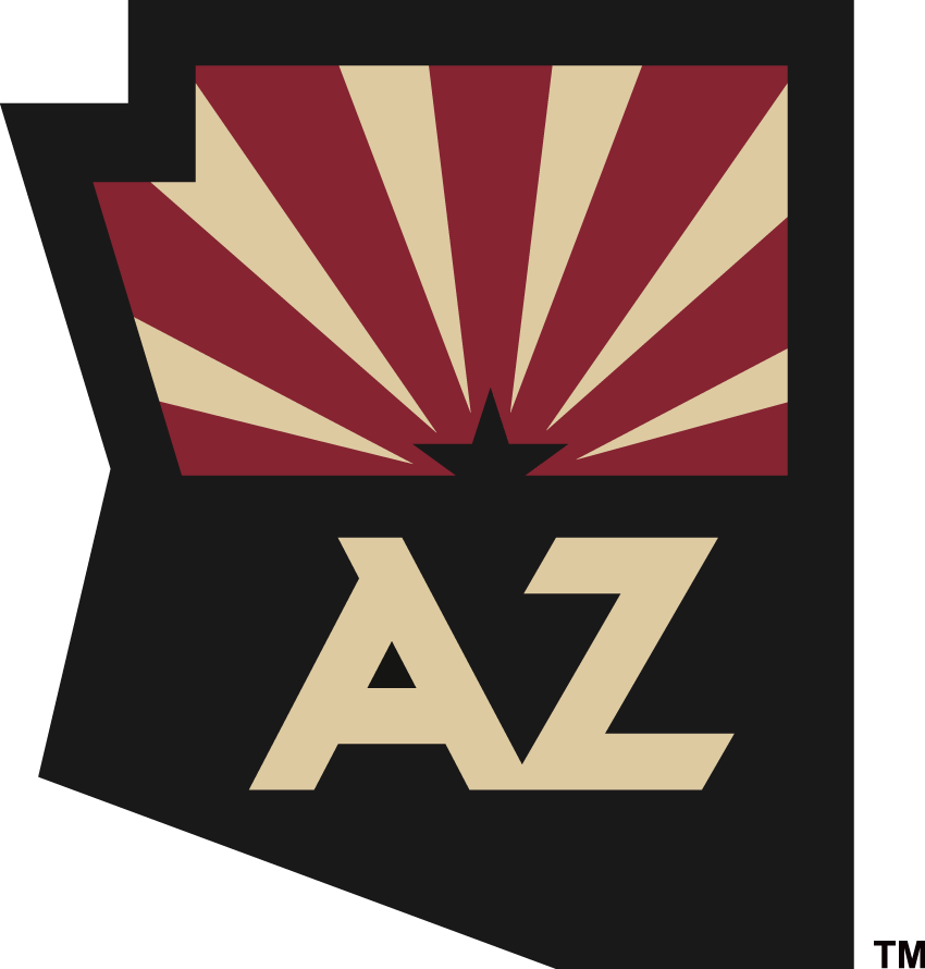 Arizona Coyotes 2015-Pres Alternate Logo DIY iron on transfer (heat transfer)